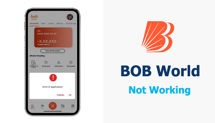 BOB World Not Working