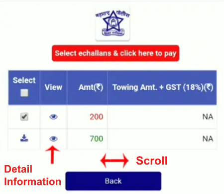 Check Maharashtra Traffic Police E-Challan Online Step 3