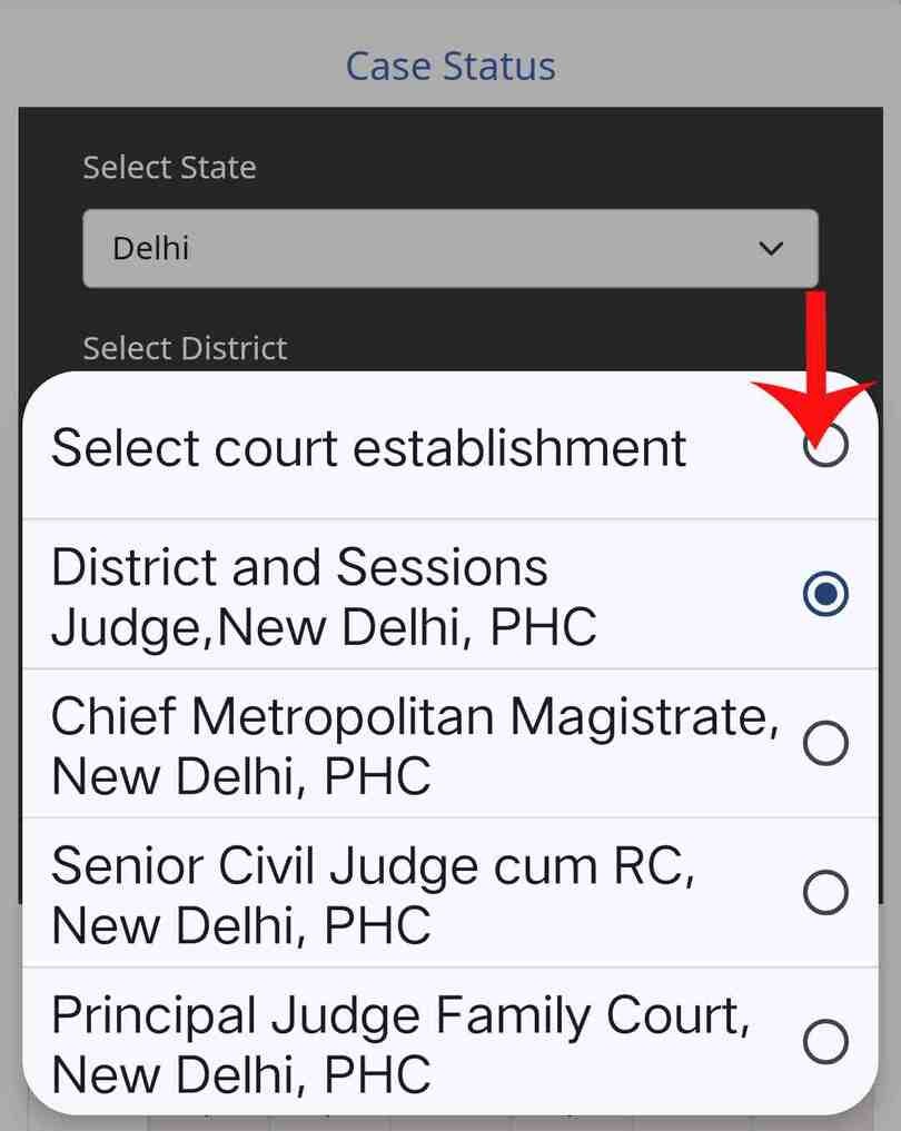 Check a Court Case on Land or Property step 3