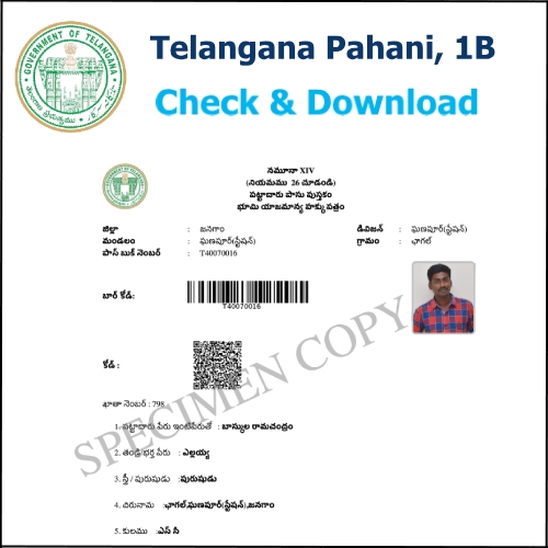 Check and Download Telangana Pahani 1B