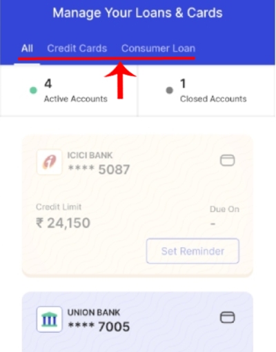 Check your Cibil Score & Loan History Step 4