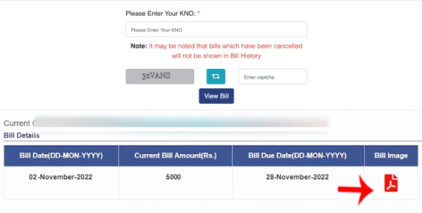 How to Download Current Month Delhi Jal Board Water Bill Online Step 4