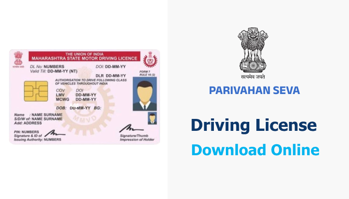 How to Download Driving License Online