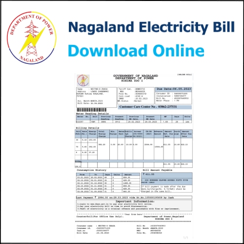 How to Download Nagaland Electricity Bill Online