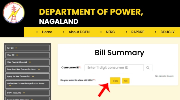 How to Download Nagaland Electricity Bill Step 5