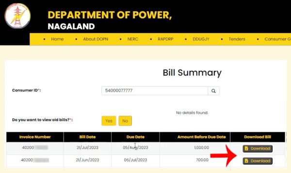 How to Download Nagaland Electricity Bill Step 6
