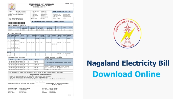 How to Download Nagaland Electricity Bill