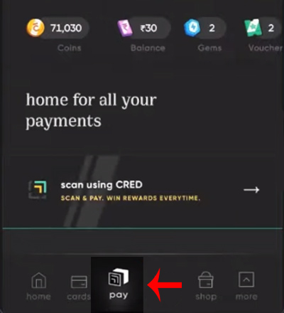 How to pay LIC Premium using CRED App Step 2