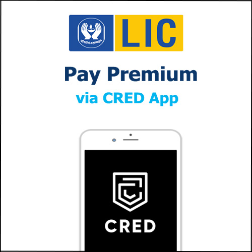 How to pay LIC Premium using CRED App