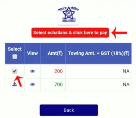 Pay Maharashtra Traffic Police E-Challan Online Step 1