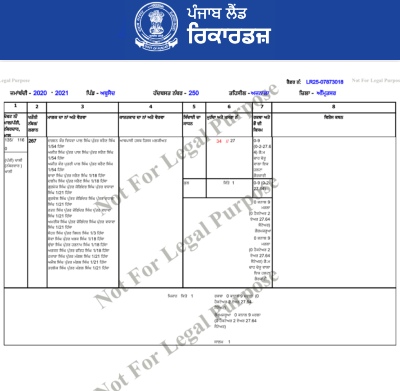 Punjab Jamabandi Download Step 8